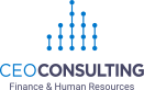 CEO CONSULTING